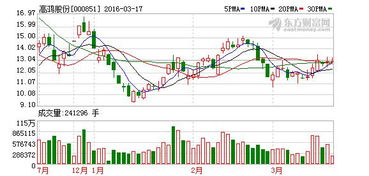 高鴻股份 教育信息化業(yè)務(wù)步入推廣階段，軟硬件技術(shù)開發(fā)成新引擎